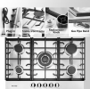 30in Built-in gas cooker Top 5 burner LPG / NG double fuel gas stove 24in gas gas stove combustion embedded stove gas kitchen stove, gas double-headed